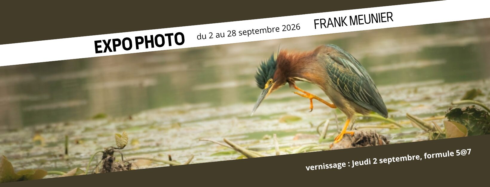 FrankMeunier_BandeauSite