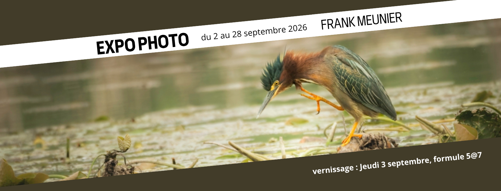 FrankMeunier_BandeauSite1