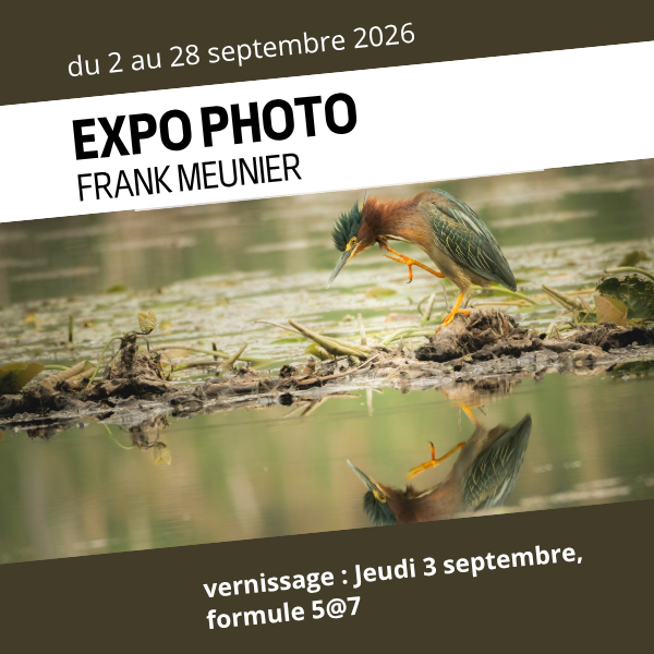 FrankMeunier_CarréSite1
