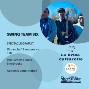 SwingTeamSix_CarréSite